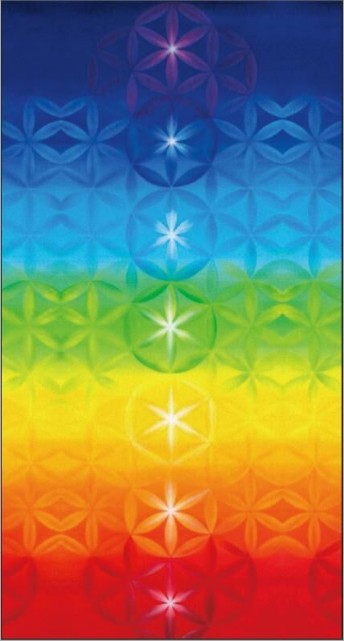 d1b6c4ab6e3227b5556c4ac2c17e2160