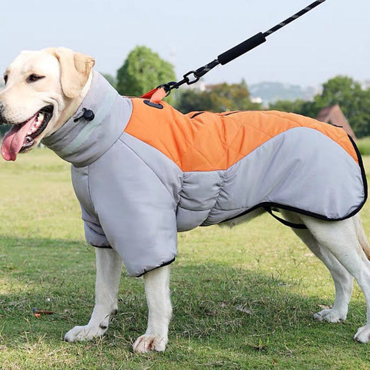 Padded waterproof winter dog coat for medium and large dogs