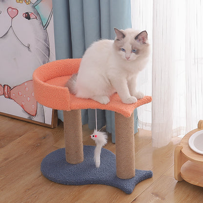8c880ae7afb5c2f56253c04c6206fbb6